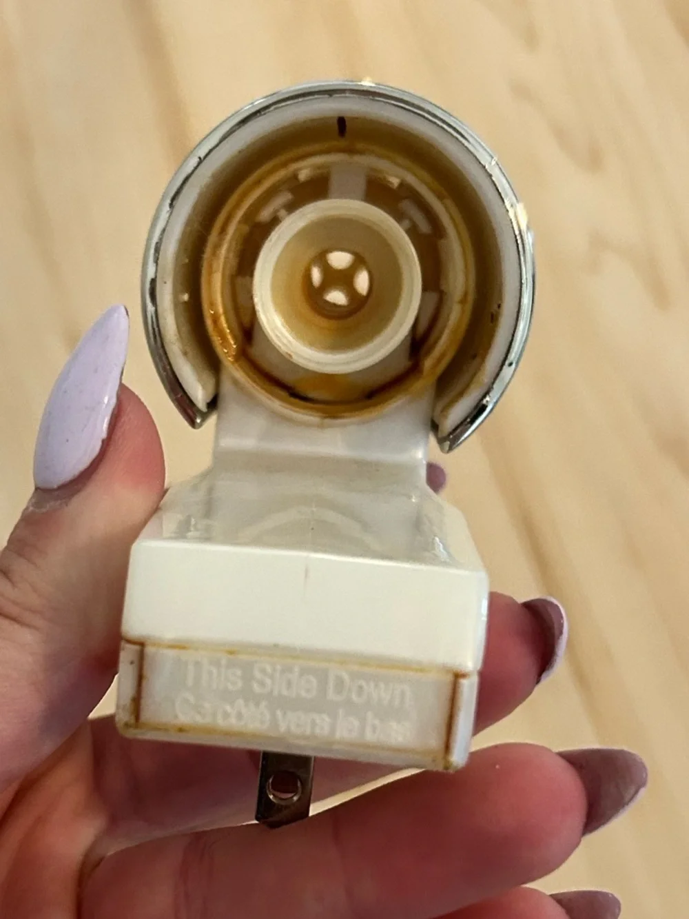 Shimmery leaf wallflower plug from bath and body works - Picture 2 of 8